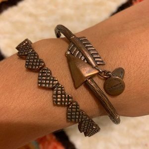 Alex and Ani Duo Set